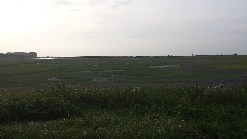 Vakantieverblijf Strandgaper Oostduinkerke Exteriér fotografie
